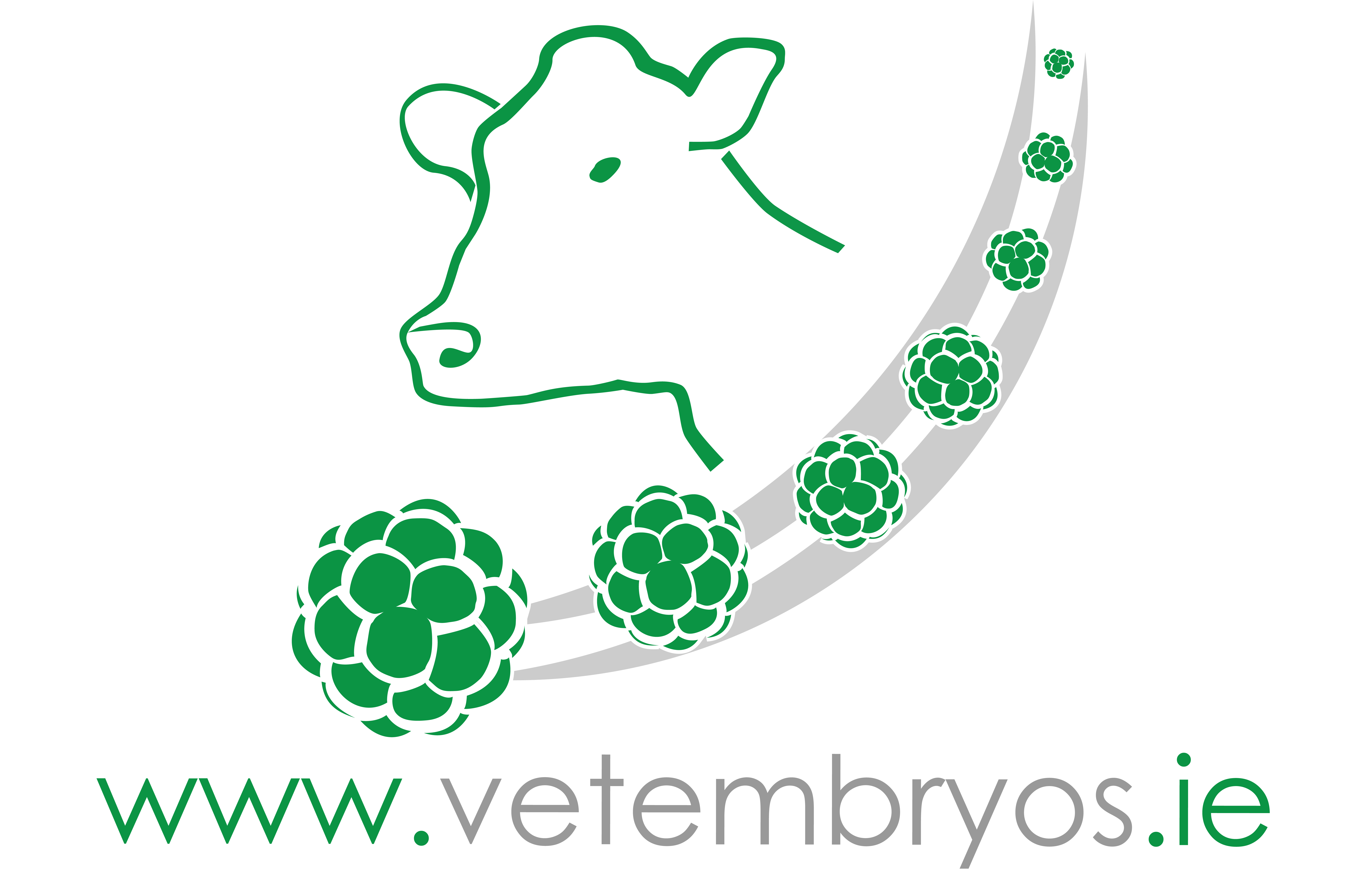 VetEmbryos Logo Larger Cow 6.8.21 (1)